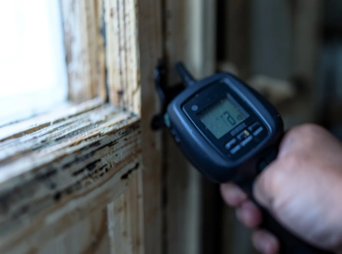 Moisture Inspection And Documentation in Allison, IA